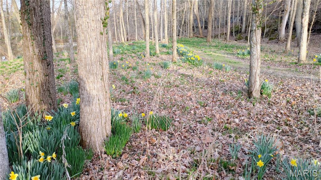 4828 Whitehead Road Hillsboro, MO 63050 - Photo 36 of 46