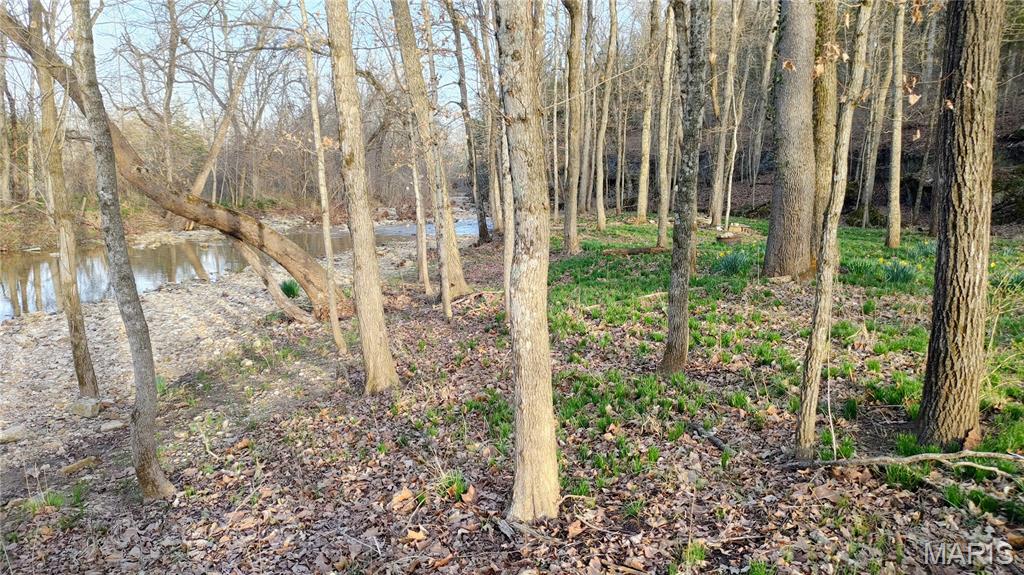 4828 Whitehead Road Hillsboro, MO 63050 - Photo 38 of 46