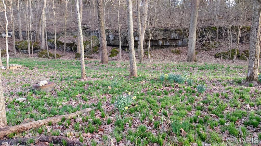 4828 Whitehead Road Hillsboro, MO 63050 - Photo 41 of 46