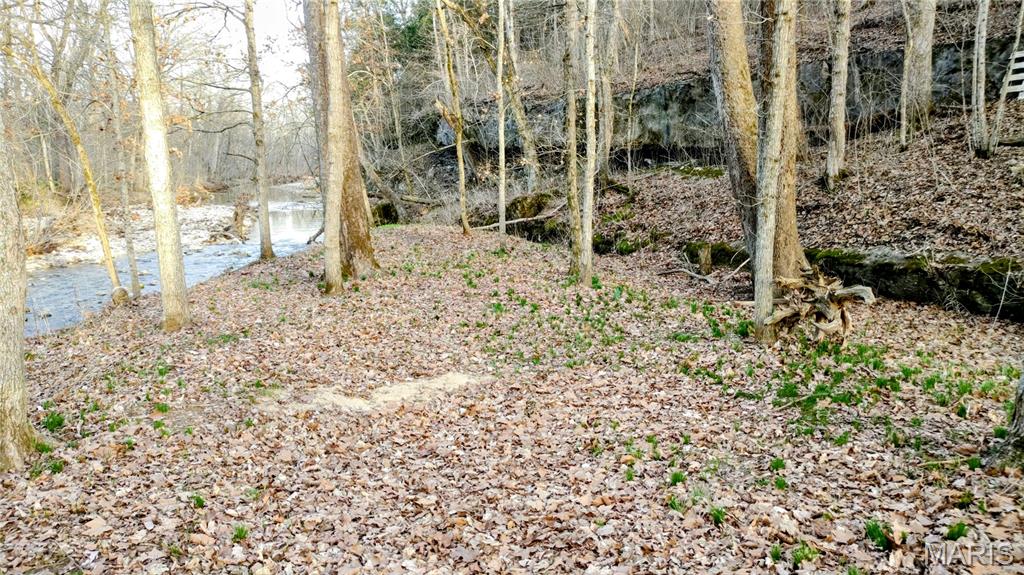 4828 Whitehead Road Hillsboro, MO 63050 - Photo 42 of 46