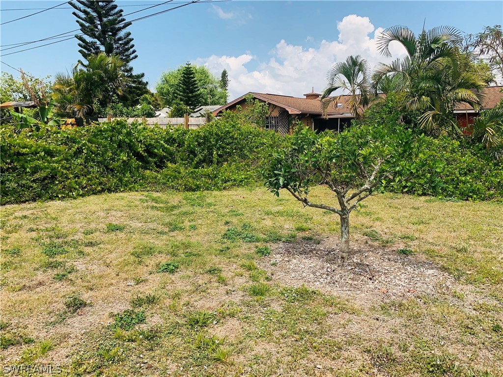 18189 Iris Road Fort Myers, FL 33967 - Photo 3 of 30 a view of a tree with a yard