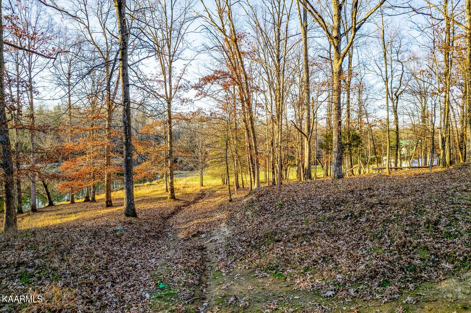 258 Peters Ford Road Sunbright, TN 37872 - Photo 37 of 47 Gallery Image 37