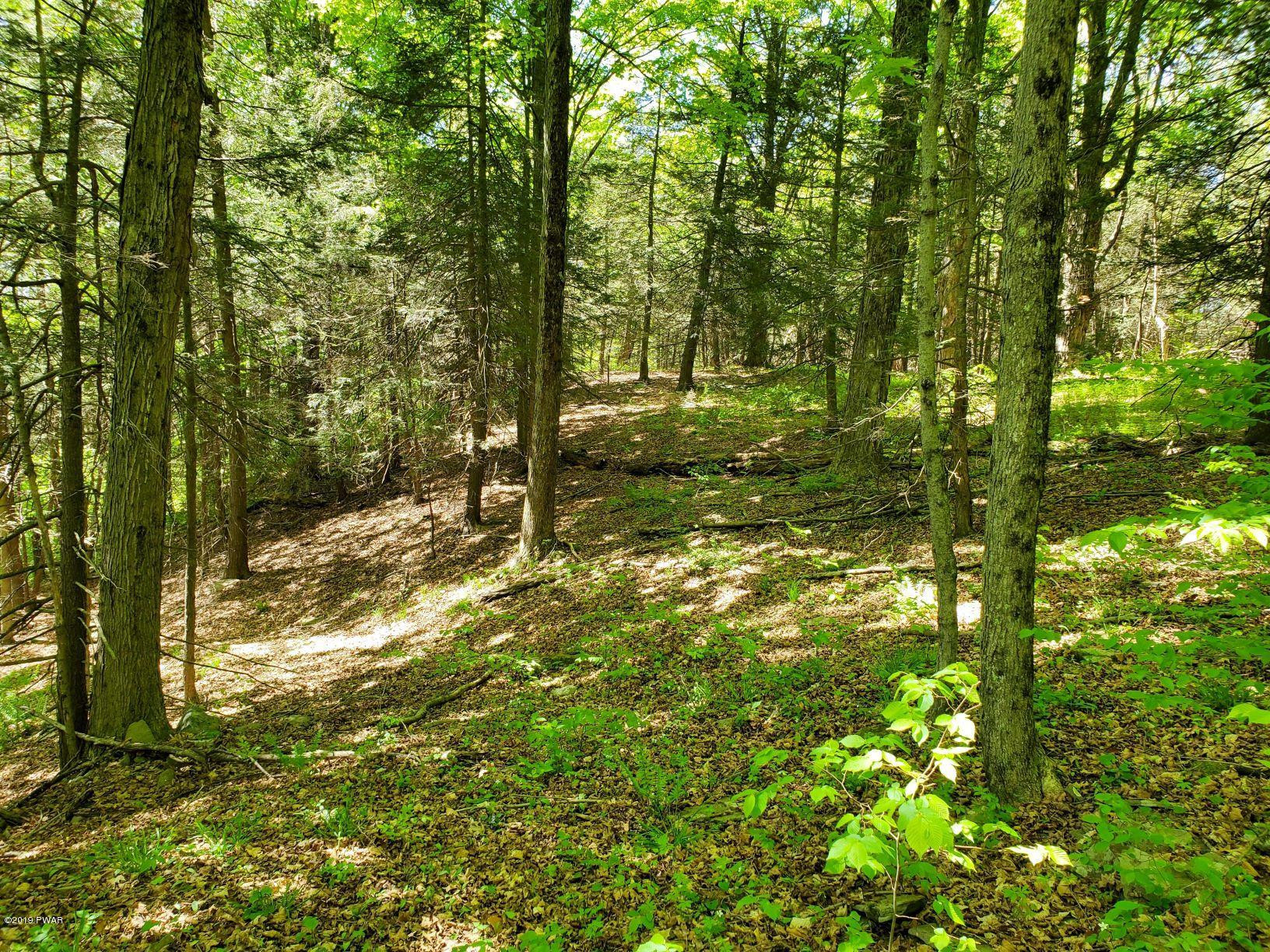 Lot 5 Ledgedale Rd Lake Lake Ariel, PA 18436 - Photo 9 of 9