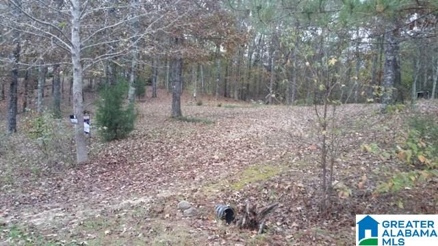 135 Honeysuckle Way, Unit 1 Riverside, AL 35135 - Photo 14 of 14