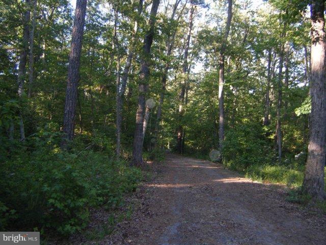 20545 Chingville Road Leonardtown, MD 20650 - Photo 16 of 20 Exterior (General)