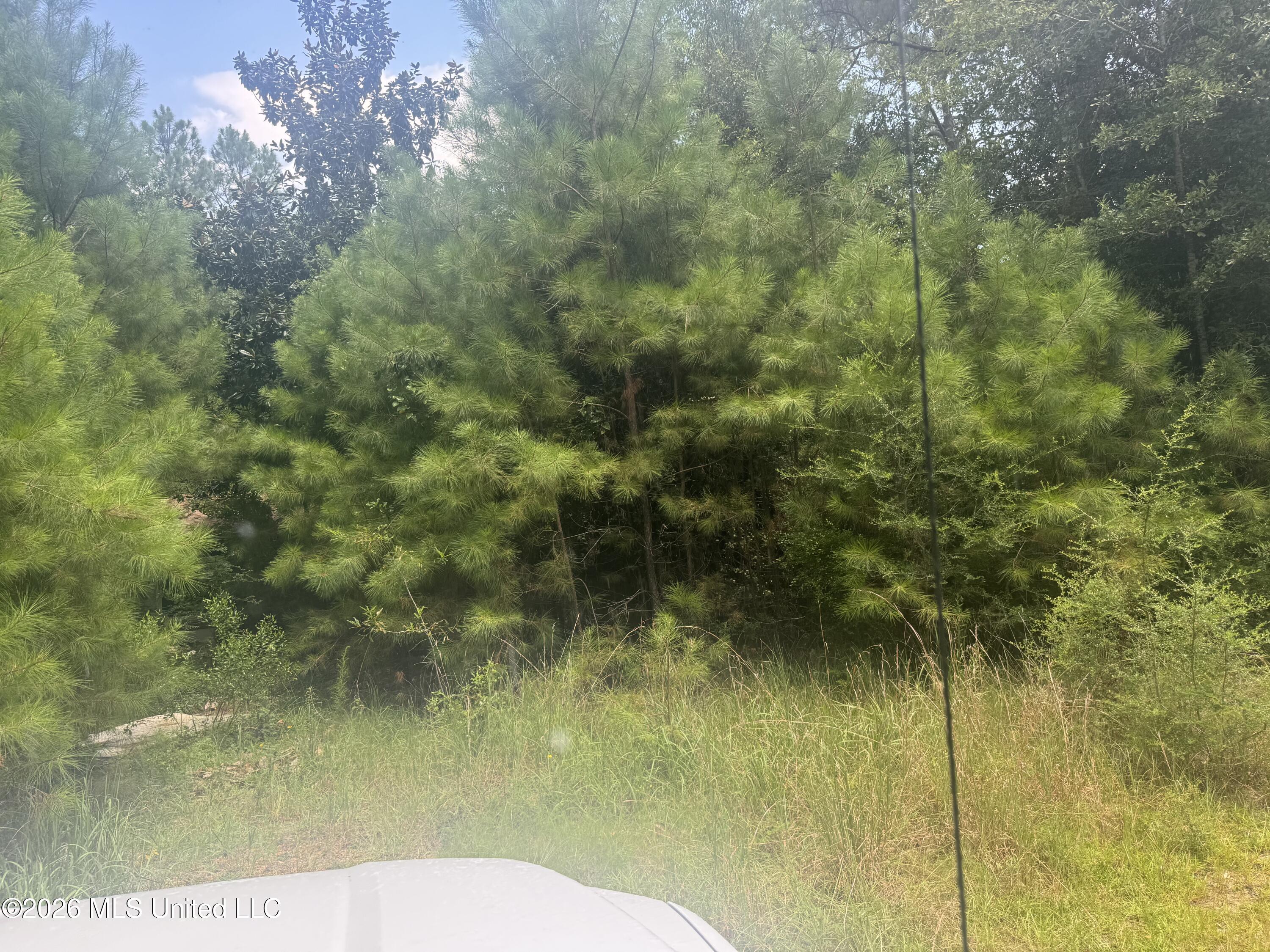 22074 Hightower Road Pass Christian, MS 39571 - Photo 23 of 27 IMG_3839