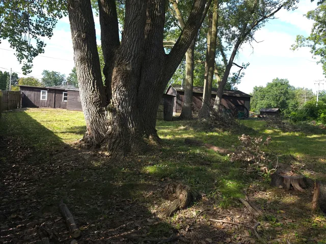 a view of backyard with tree