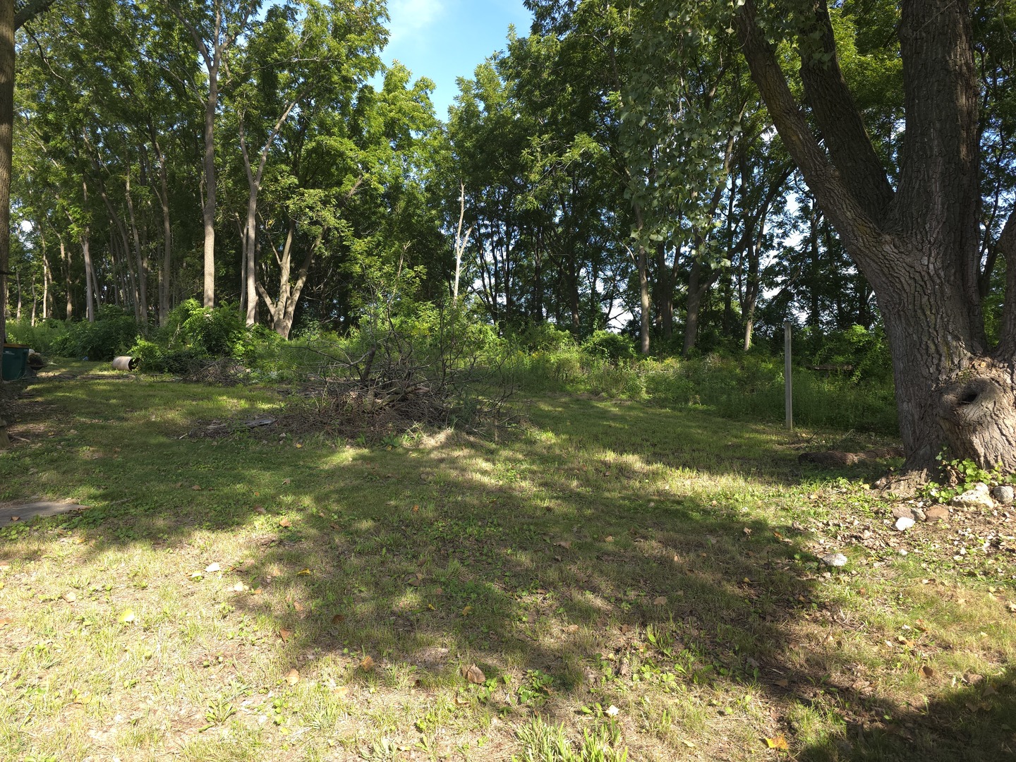 20 Highway 20 Hampshire, IL 60140 - Photo 3 of 3 a backyard of a house with lots of green space