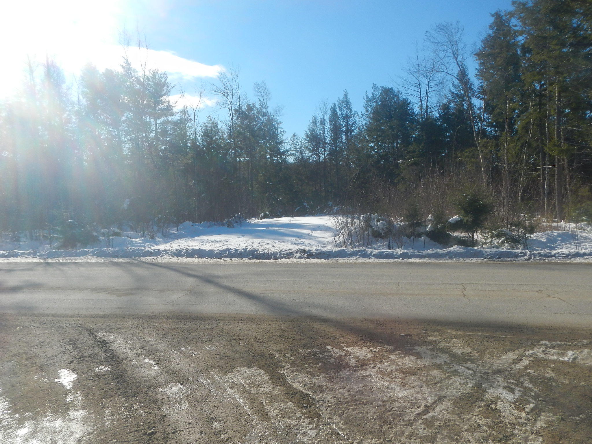 Lot A Pea Ridge Road Lincoln, ME 04457 - Photo 2 of 6 DSCN7972