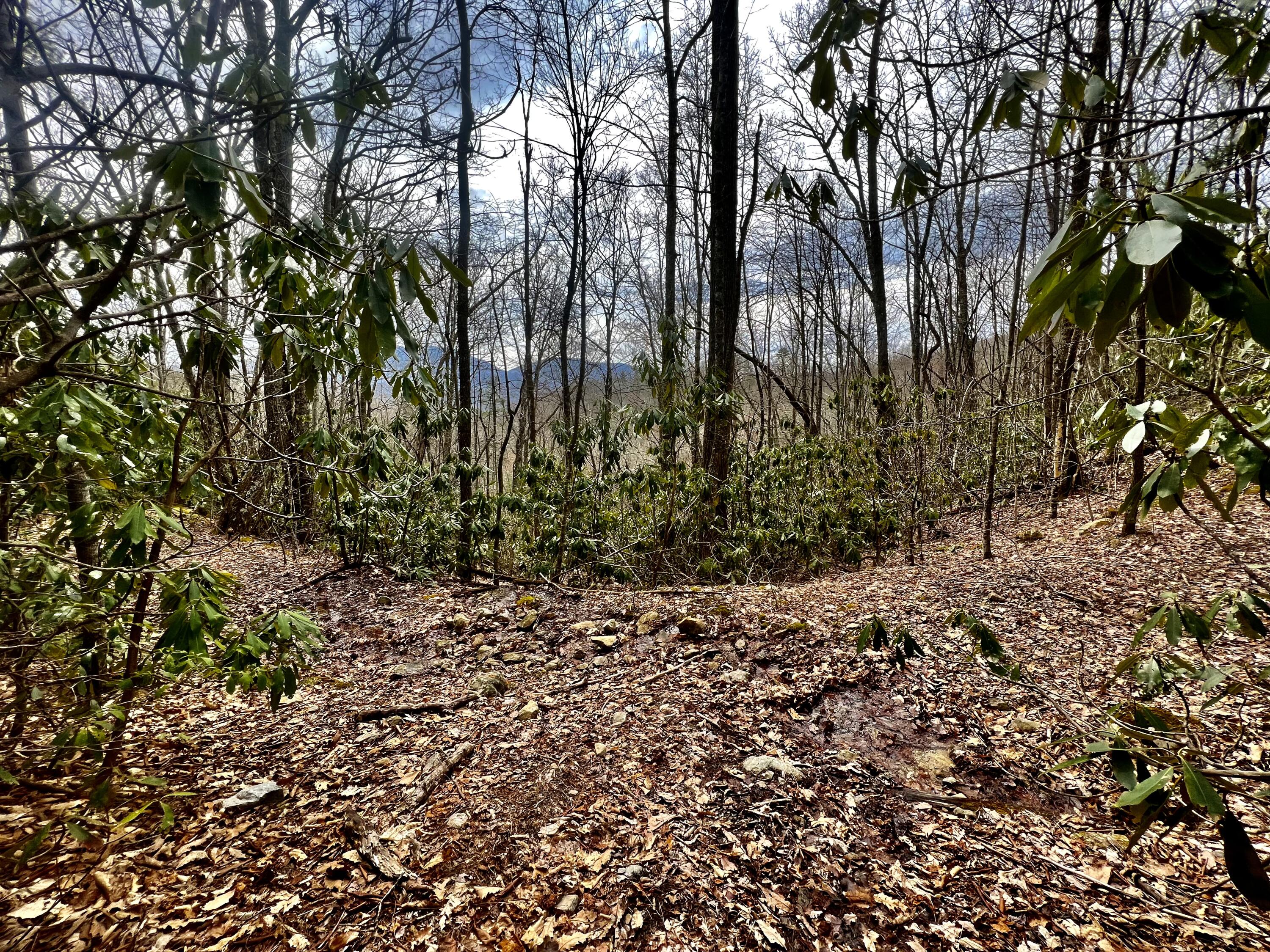 0 Stone Mountain Road Trade, TN 37691 - Photo 24 of 26 IMG_2267 (1)