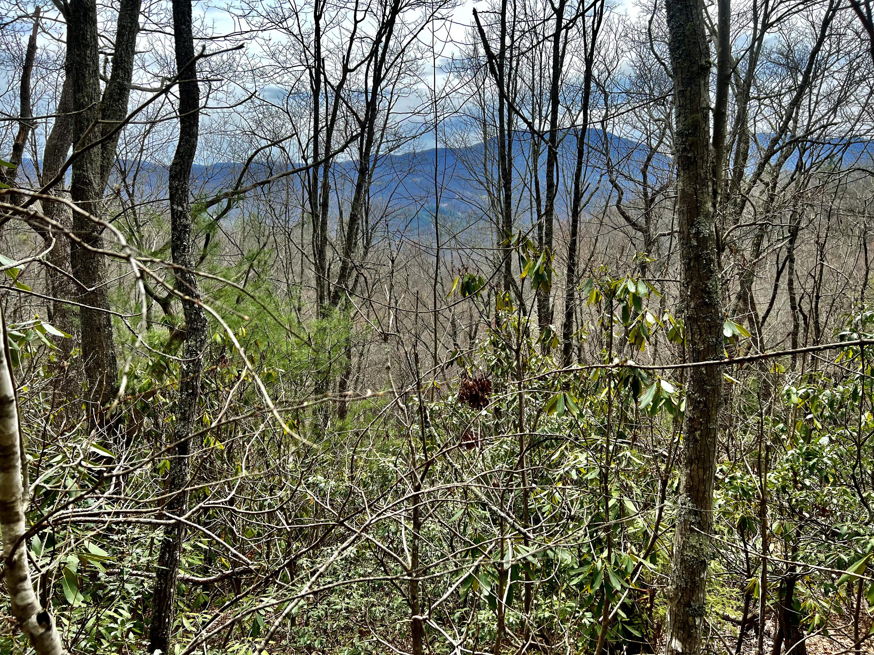 0 Stone Mountain Road Trade, TN 37691 - Photo 26 of 26 IMG_2265 (1)