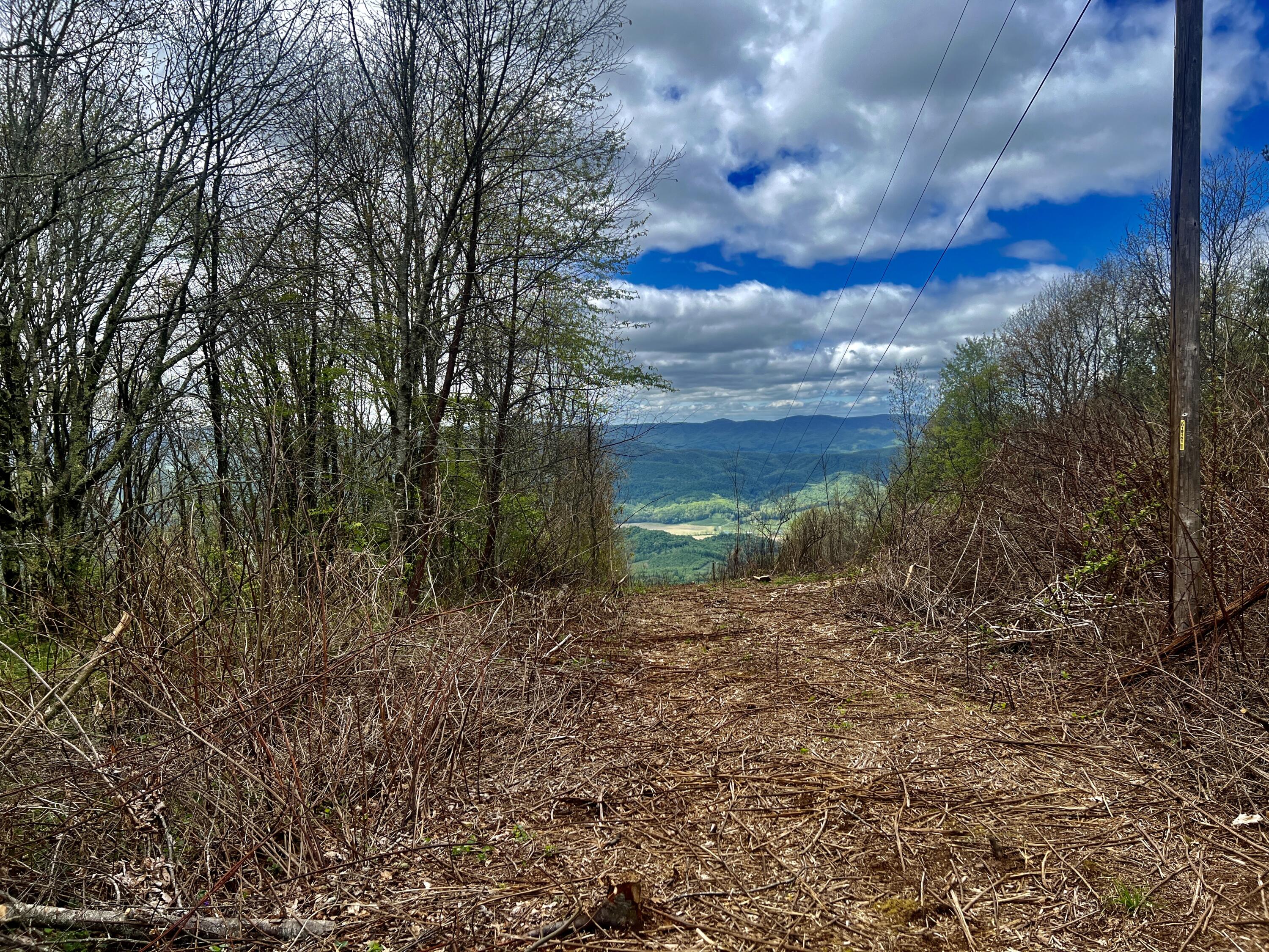 0 Stone Mountain Road Trade, TN 37691 - Photo 8 of 26 IMG_2561