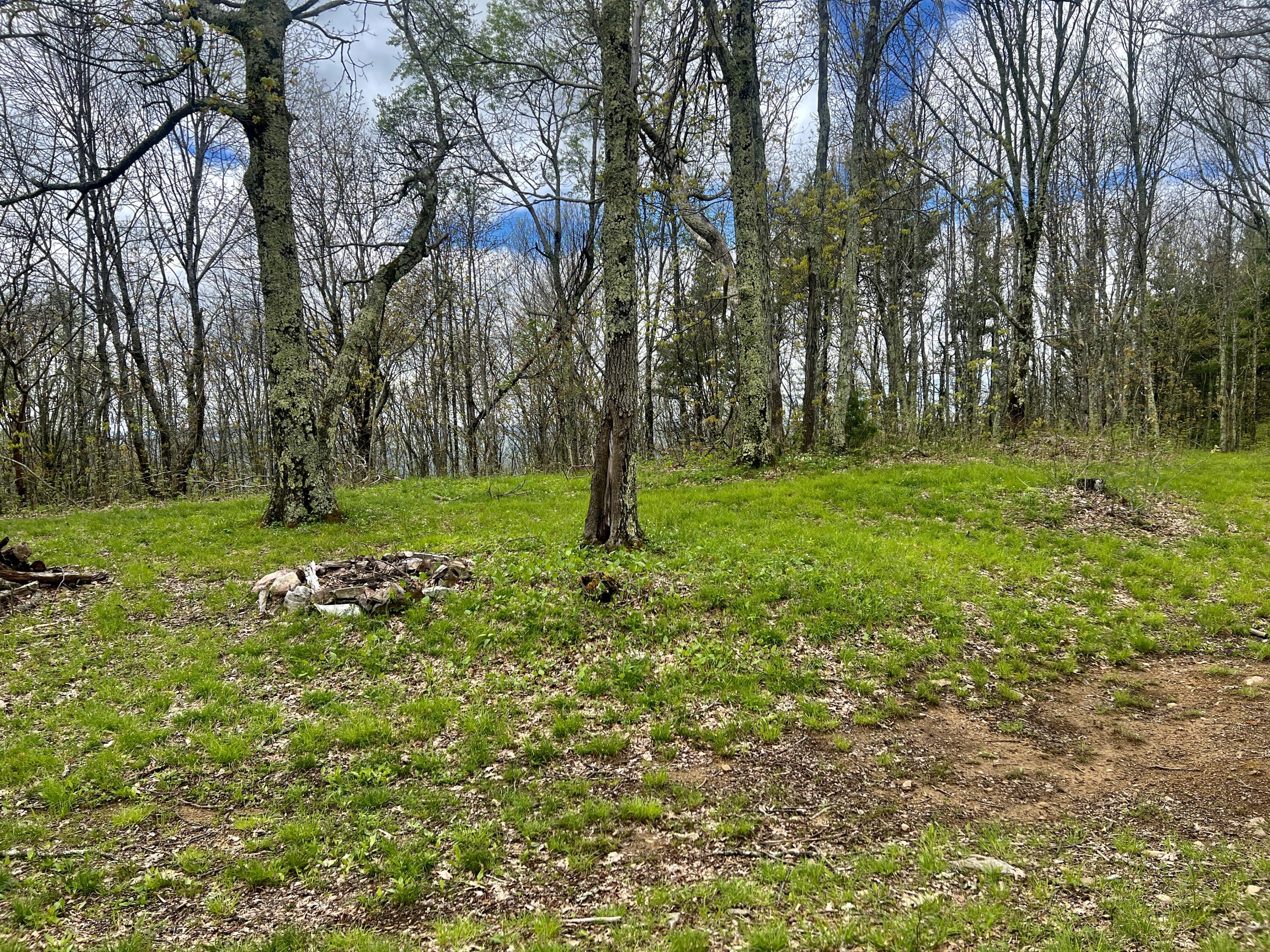 0 Stone Mountain Road Trade, TN 37691 - Photo 10 of 26 IMG_2555