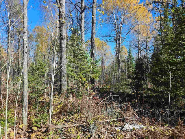 $64,900 | Xx Mattila Road, Virginia, MN 55792