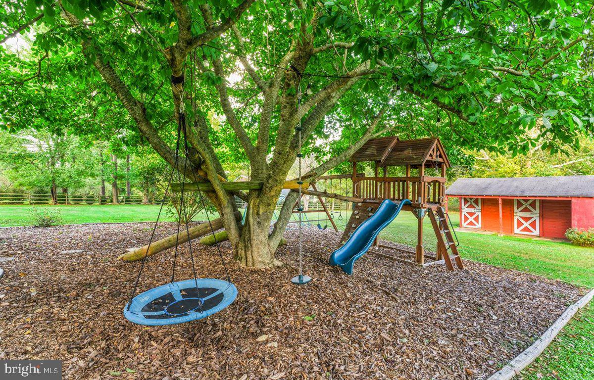 23280 Dover Road Middleburg, VA 20117 - Photo 50 of 64 Great shade for this child's play area.
