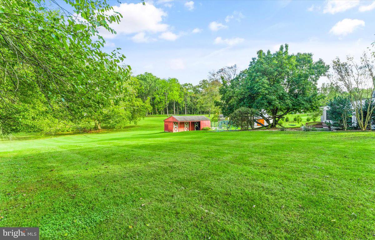 23280 Dover Road Middleburg, VA 20117 - Photo 51 of 64 Gorgeous acreage just waiting to be explored.
