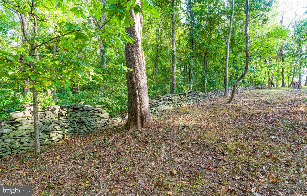 23280 Dover Road Middleburg, VA 20117 - Photo 54 of 64 Rock wall near rear of lot.