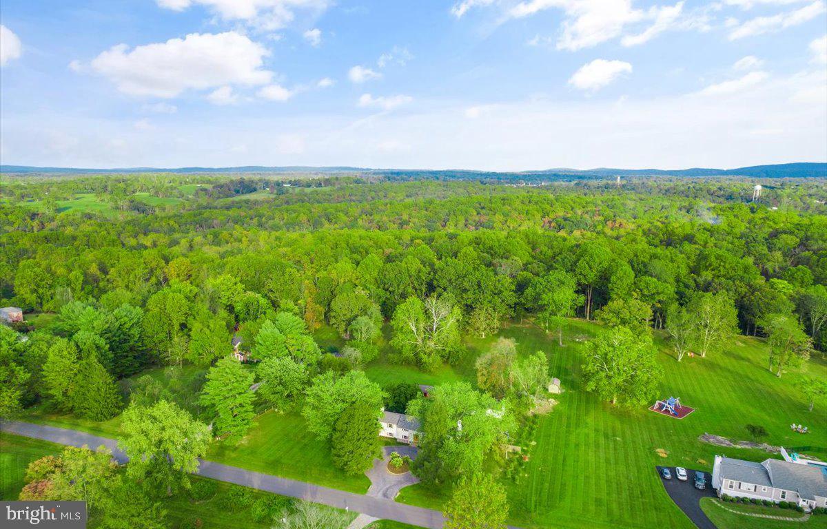 23280 Dover Road Middleburg, VA 20117 - Photo 55 of 64 Aerial view of the property.