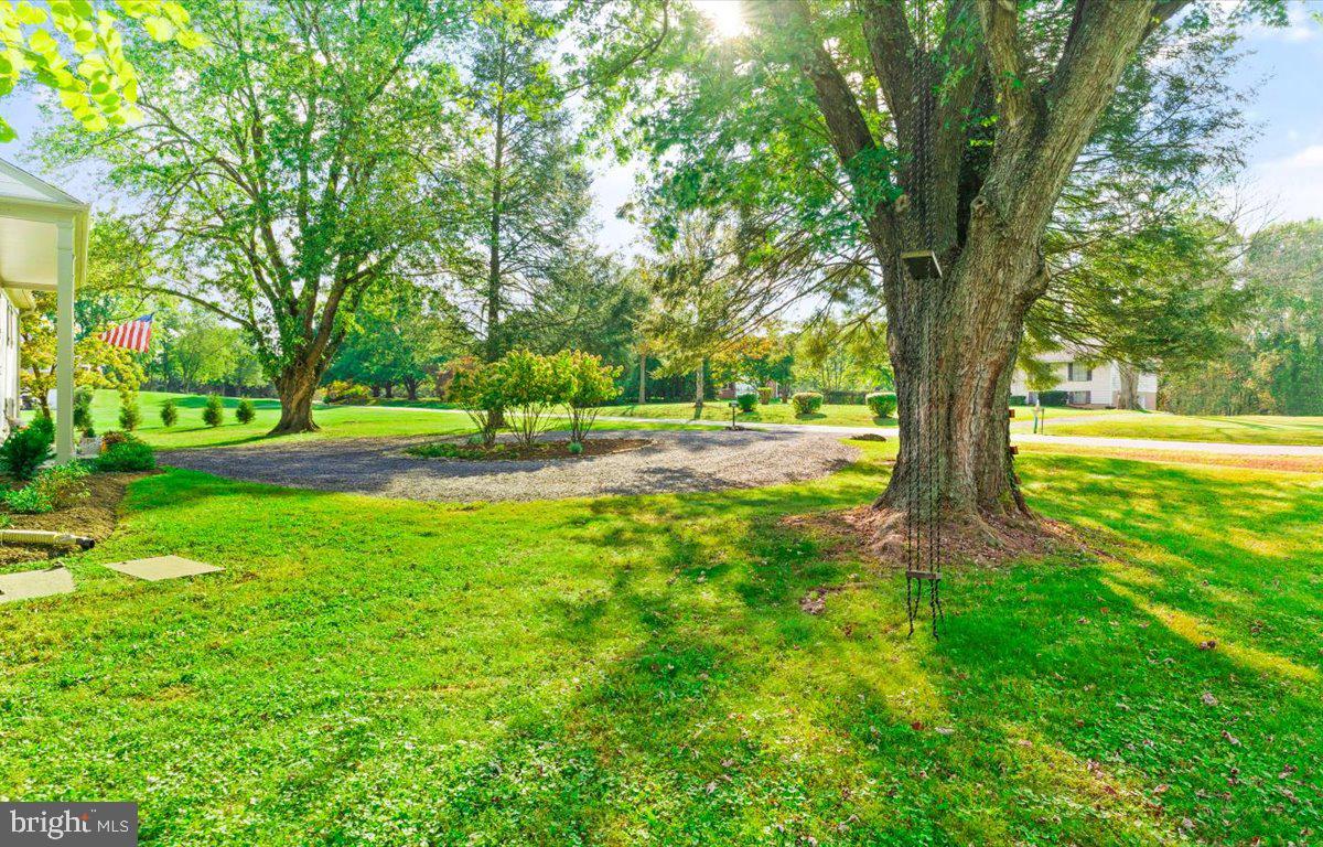 Side yard with mature trees.