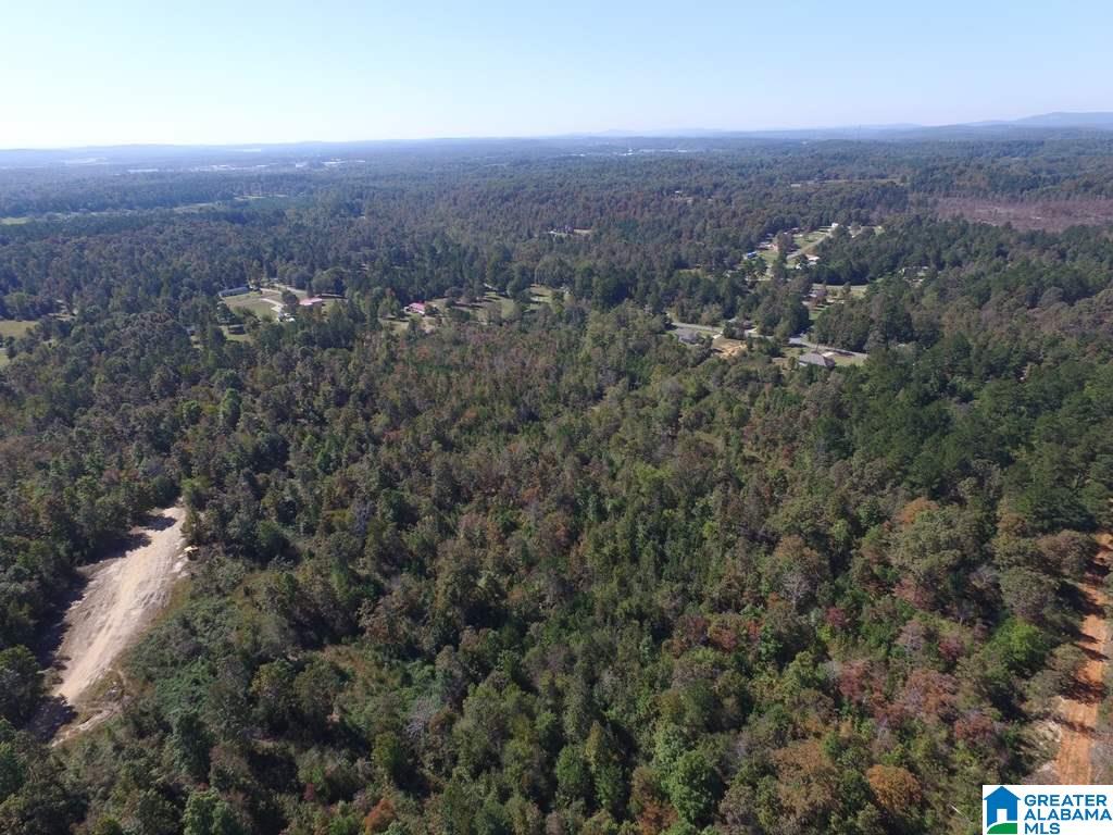 Sprayberry Road, Unit 103 Cropwell, AL 35054 - Photo 8 of 48