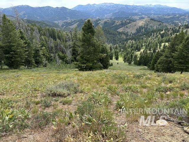 Carrie Creek Road Fairfield, ID 83327 - Photo 16 of 22 Gallery Image 16