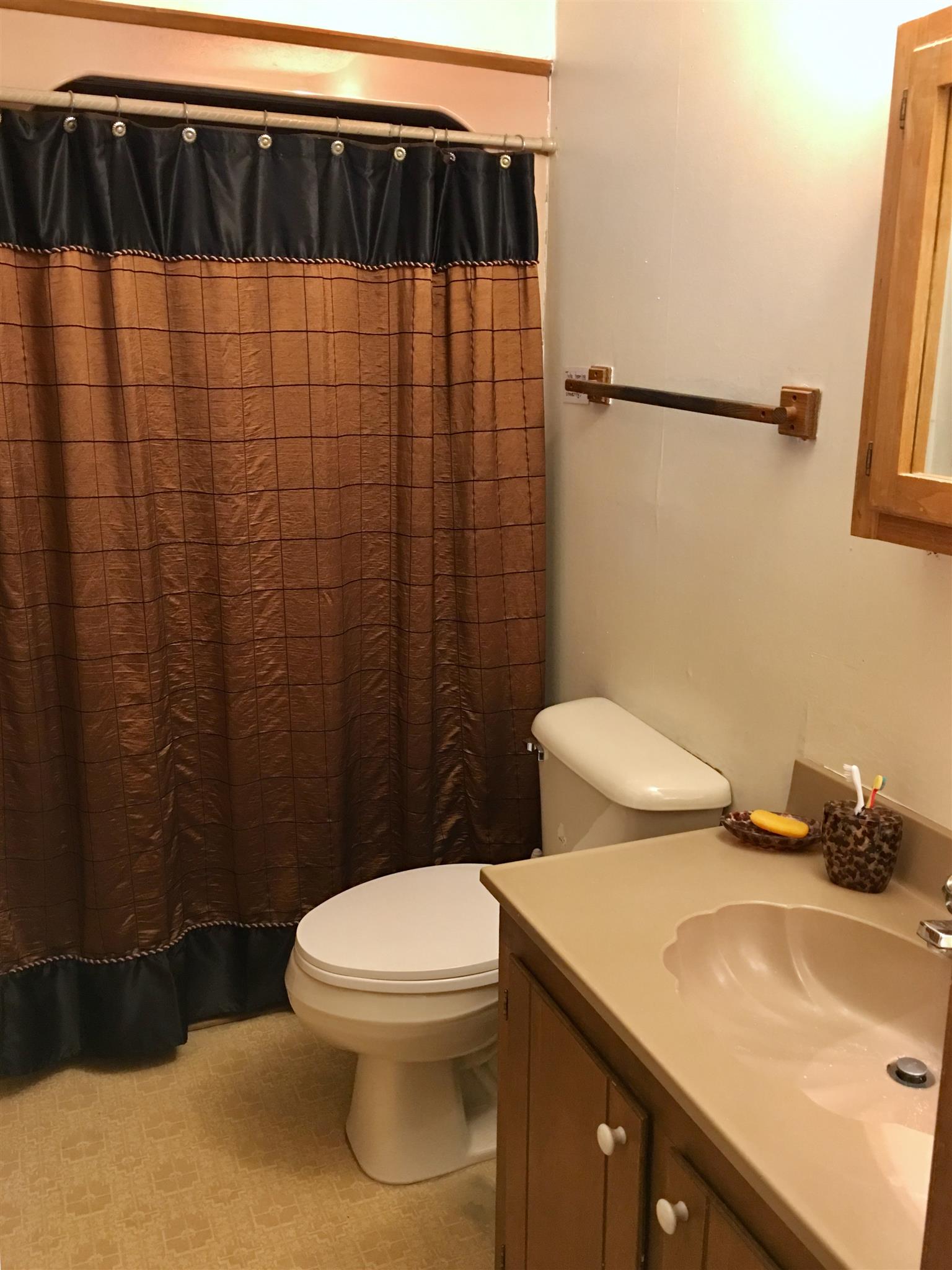 206 Bonnertown Road Five Points, TN 38457 - Photo 17 of 28 a bathroom with a sink and a toilet