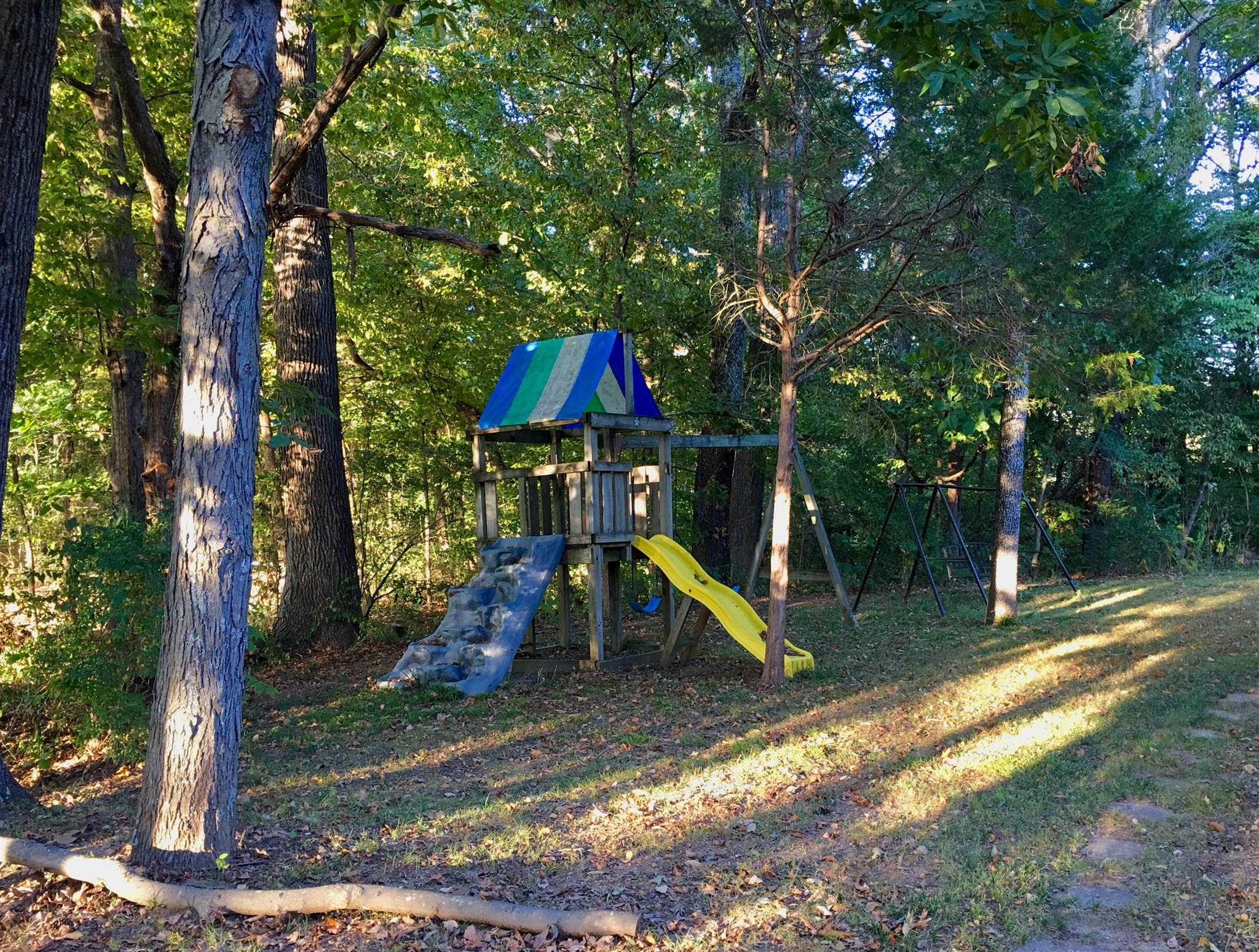 206 Bonnertown Road Five Points, TN 38457 - Photo 22 of 28 a view of a park with a slide