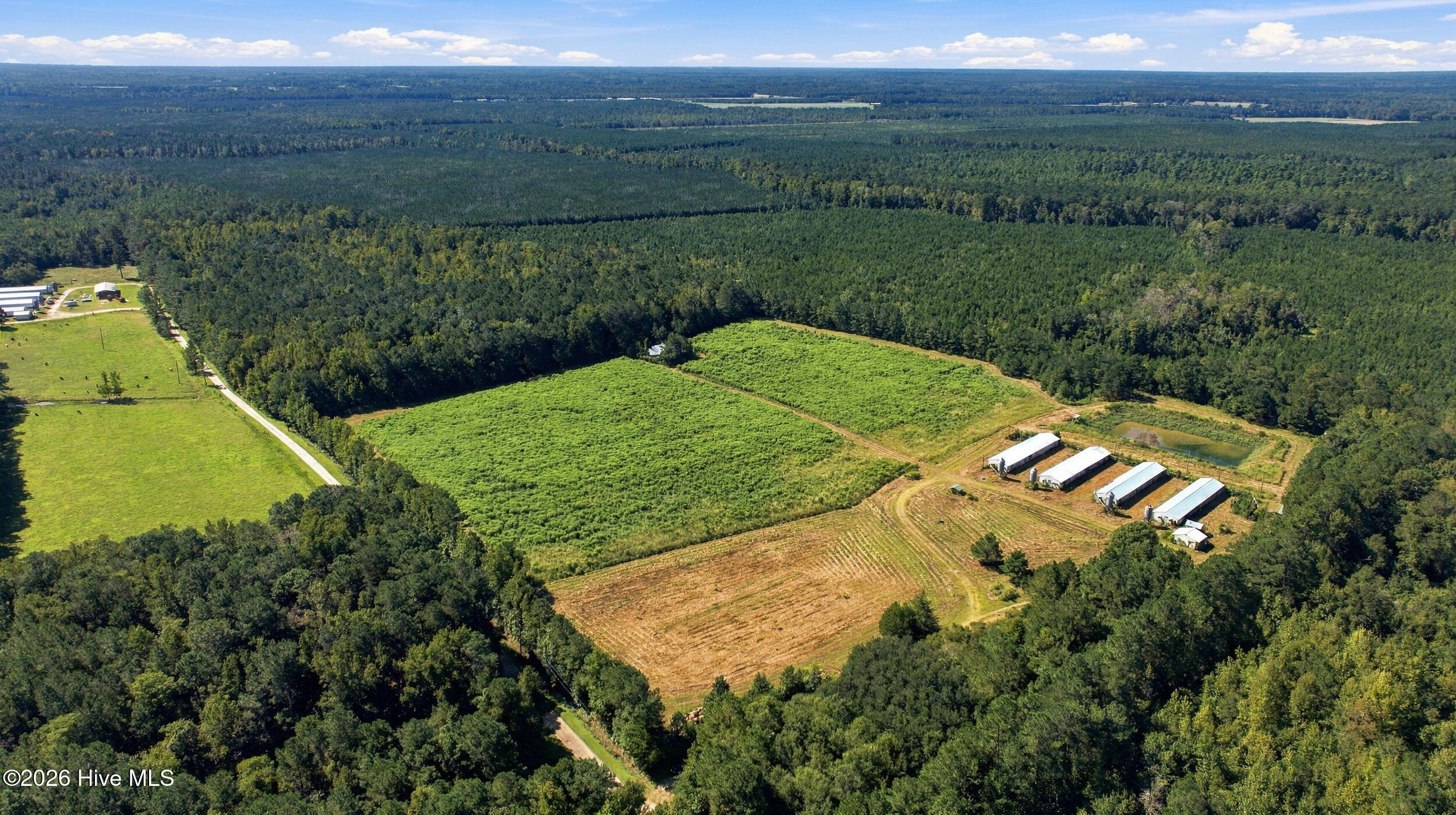 6655 Myrtle Head Road Northwest Ash, NC 28420 - Photo 22 of 24 6655_myrtle_head_rd_003