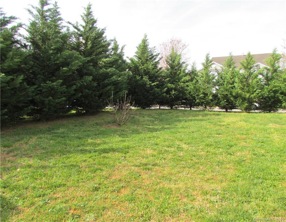 900 Poplar Forest Ridge Clover, SC 29710 - Photo 20 of 22 Gallery Image 20
