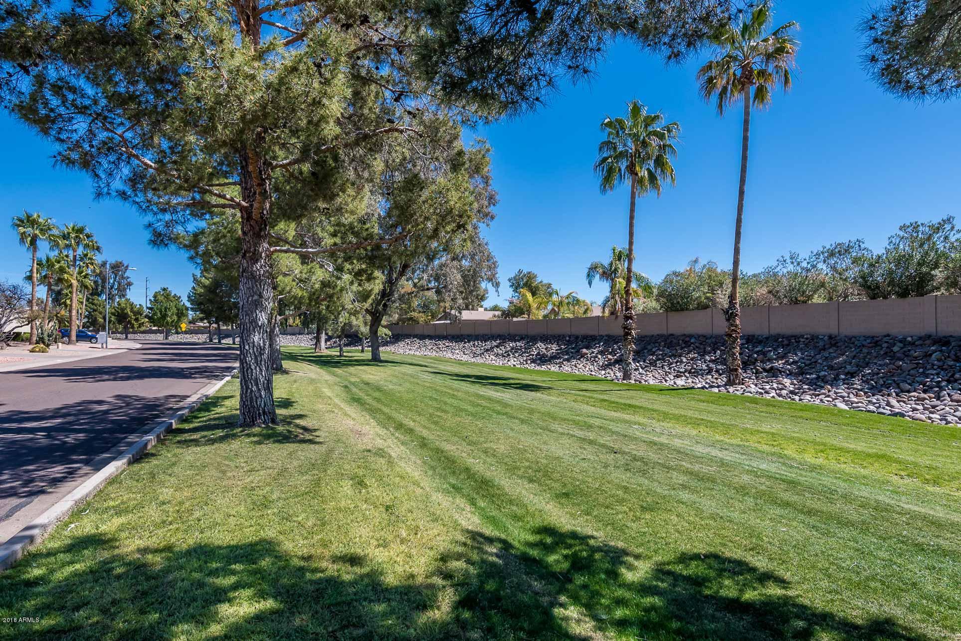 2523 East Wagoner Road Phoenix, AZ 85032 - Photo 18 of 20 2523 E Wagoner Rd - MLS-37