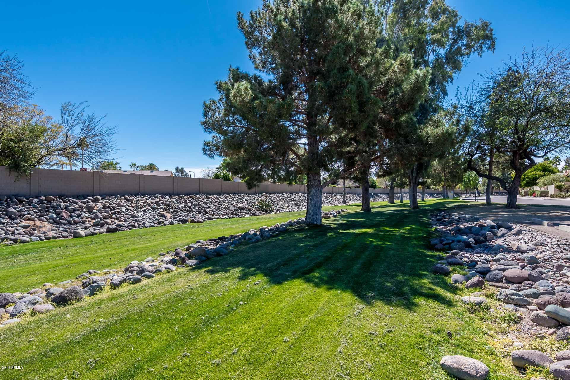 2523 East Wagoner Road Phoenix, AZ 85032 - Photo 19 of 20 2523 E Wagoner Rd - MLS-38