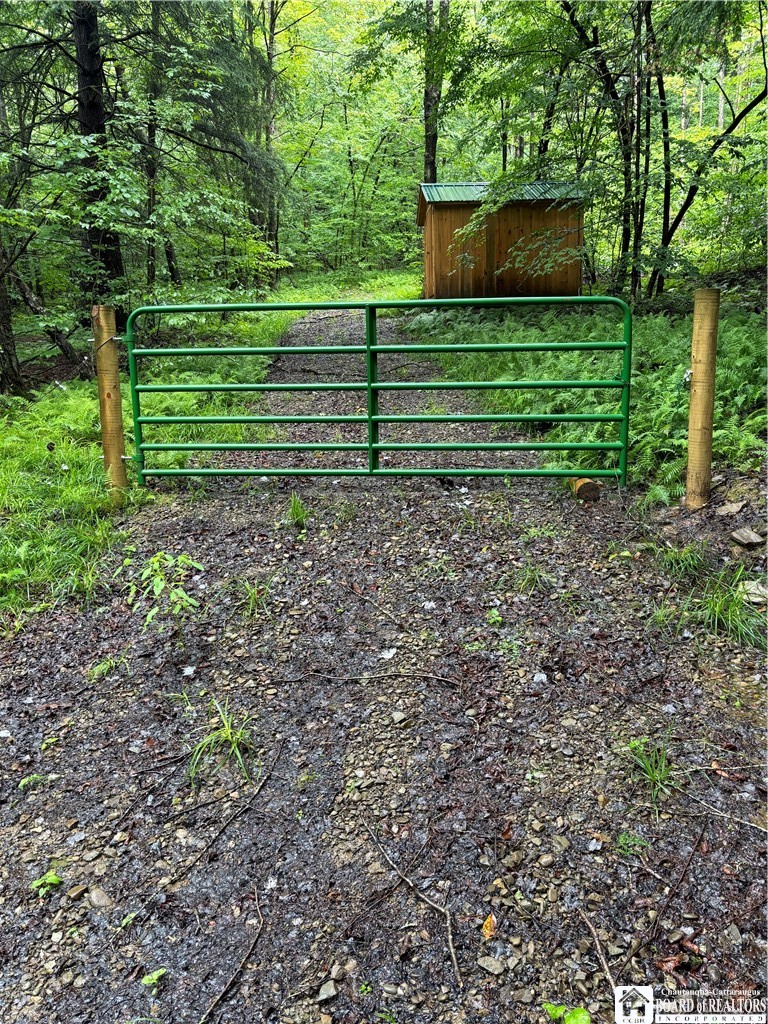 Orebed Road Wellsville, NY 14895 - Photo 1 of 1 Gallery Image 1