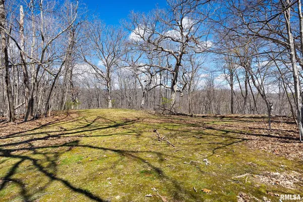 $425,000 | 2353 Hollands Grove Road, Washington, IL 61571
