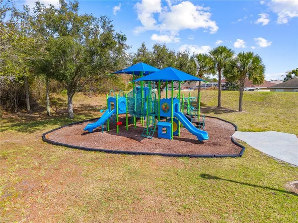 a small garden covered with tall trees