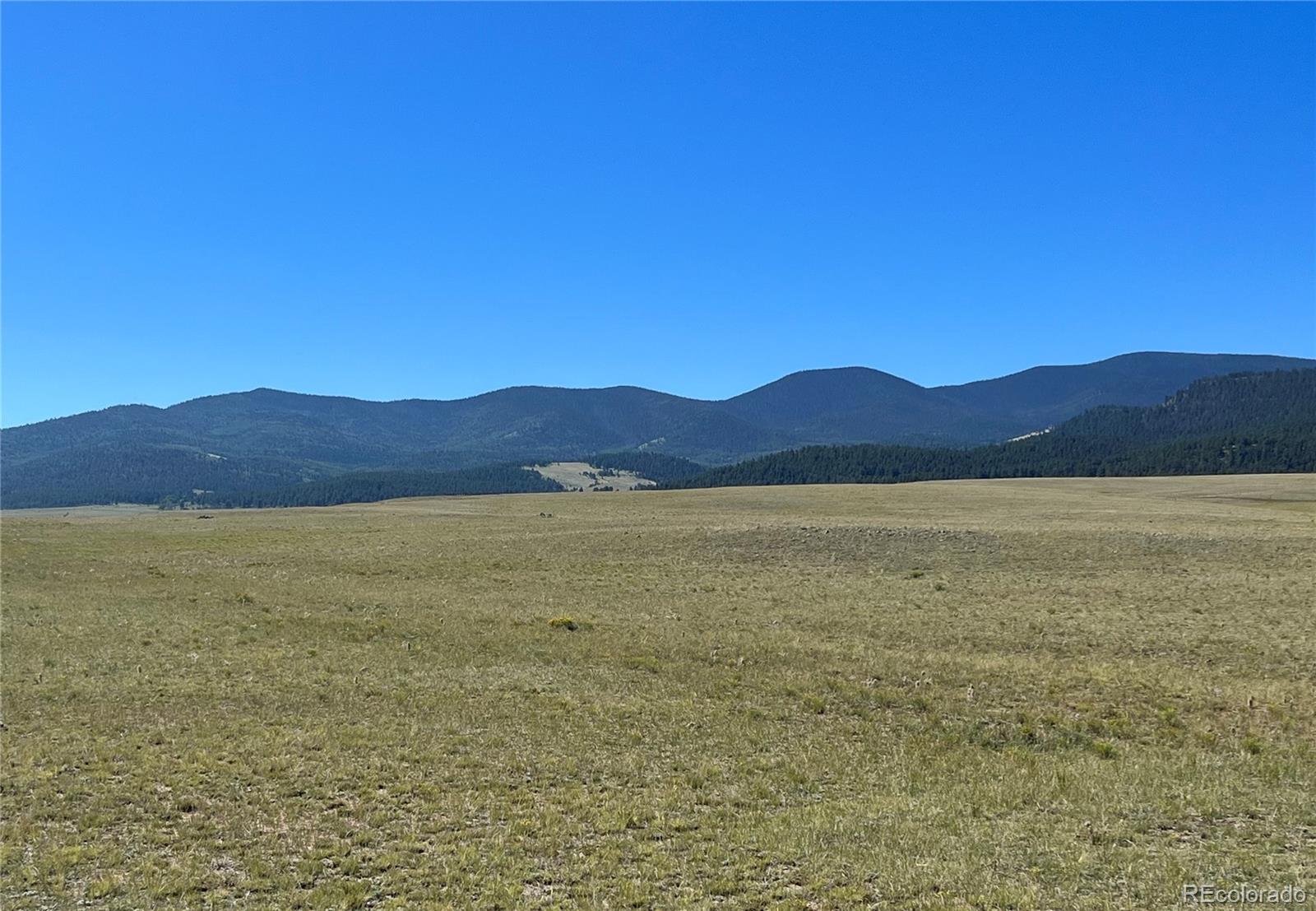 Ken Road Florissant, CO 80816 - Photo 7 of 16 a view of lake and mountain