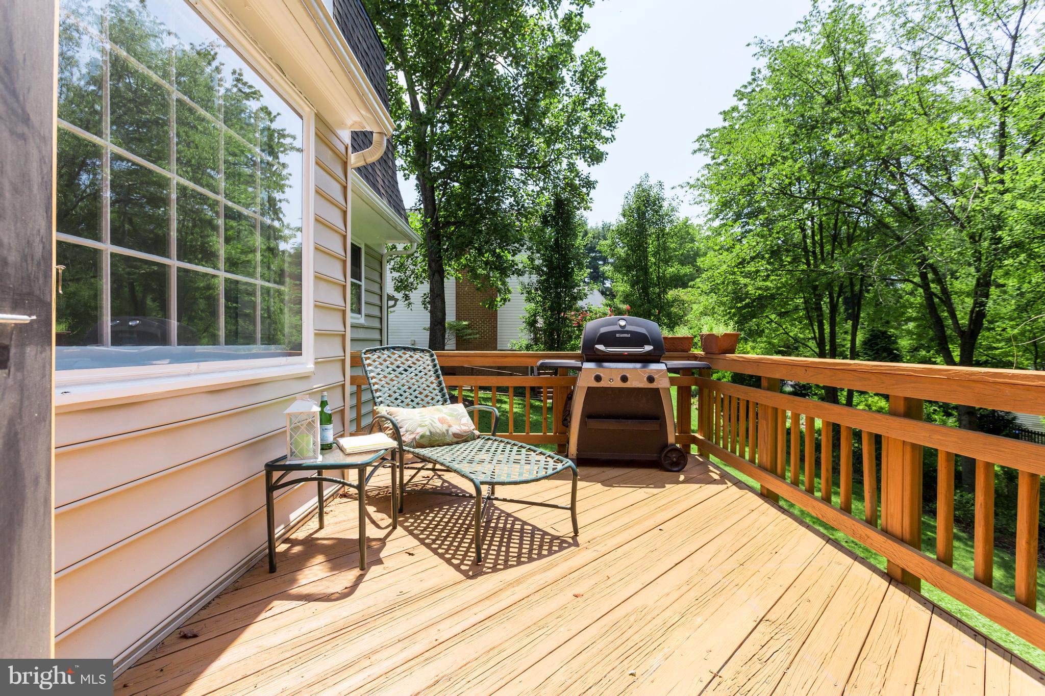 9101 Streamview Lane Vienna, VA 22182 - Photo 28 of 30 Exterior (Rear)