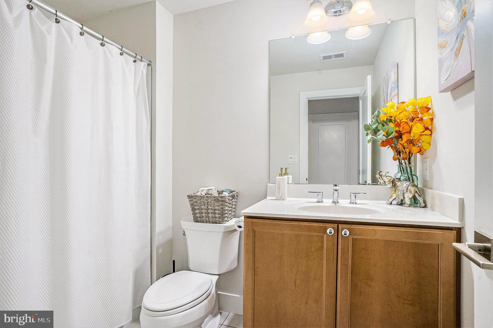 214 Iris Lane Chester Springs, PA 19425 - Photo 31 of 40 Hall Bath