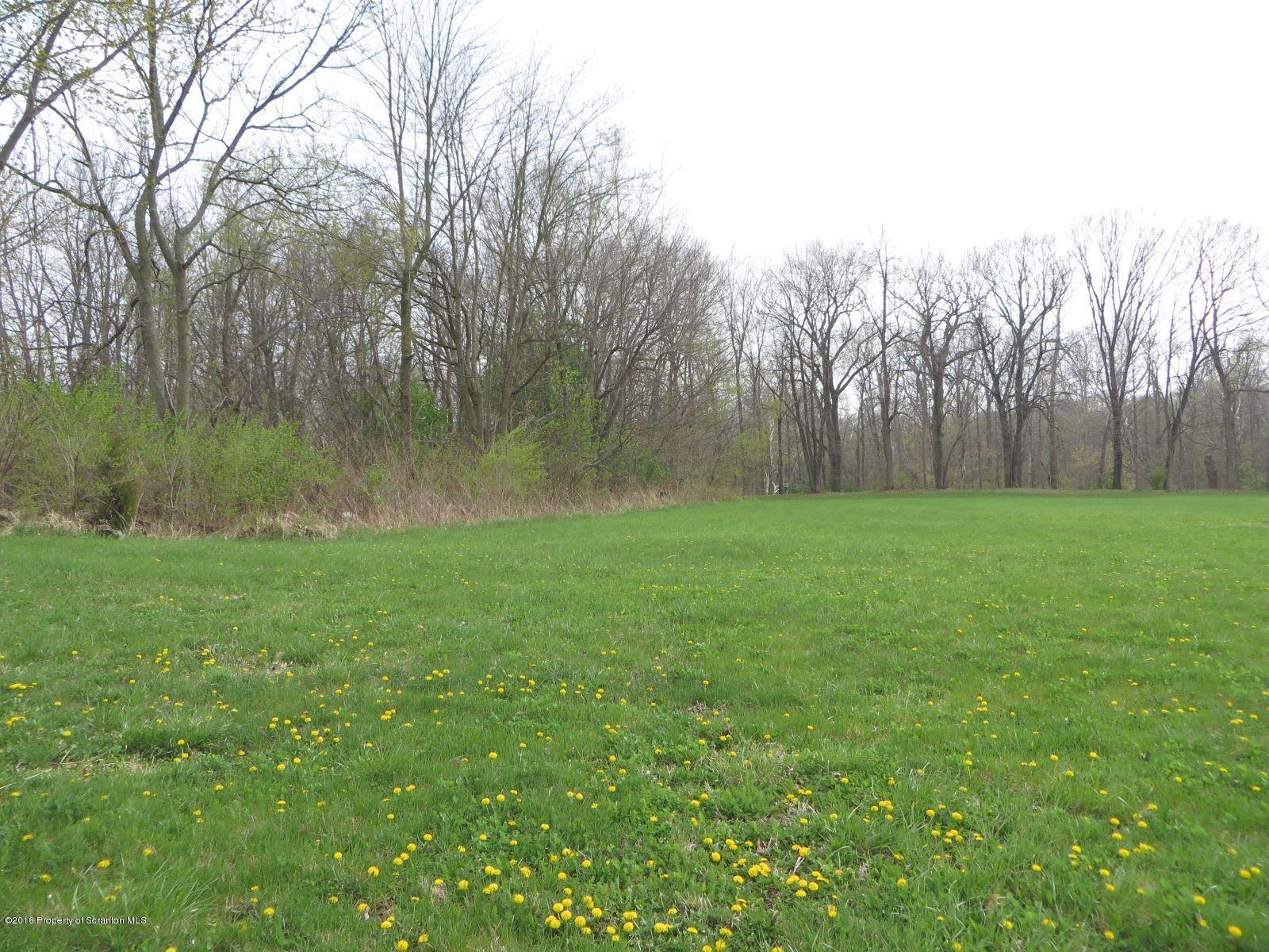 Tompkinsville Road Jermyn, PA 18433 - Photo 1 of 1 Land