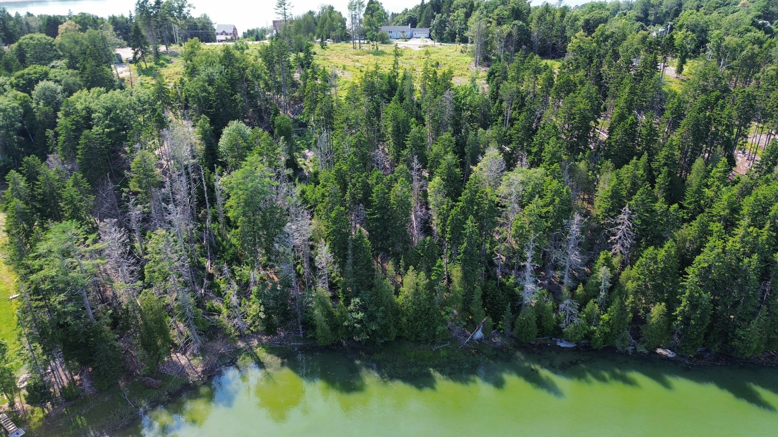 Lot #1 Bayview Road Orrs Island, ME 04066 - Photo 29 of 46 dji_fly_20240713_154610_910_172091591598