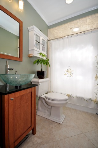 50 West Avenue, Unit 2N Riverside, IL 60546 - Photo 15 of 18 a bathroom with a toilet a sink and a mirror