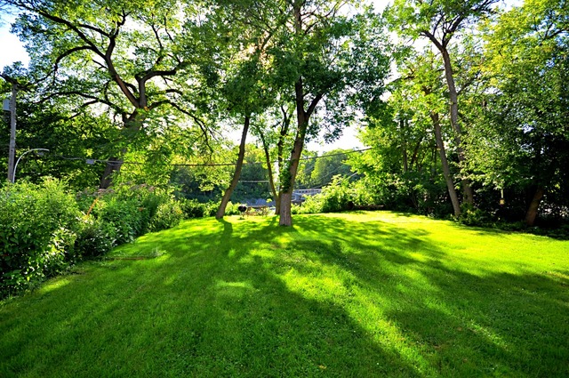 50 West Avenue, Unit 2N Riverside, IL 60546 - Photo 16 of 18 a view of an outdoor space and yard