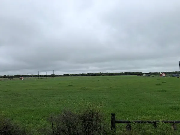 a view of a field with a big yard