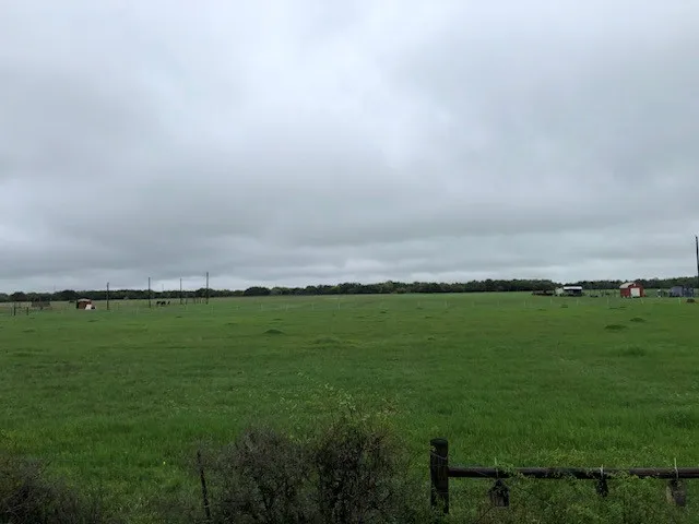 a view of a field with a big yard