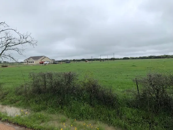 a view of a green field with lots of bushes