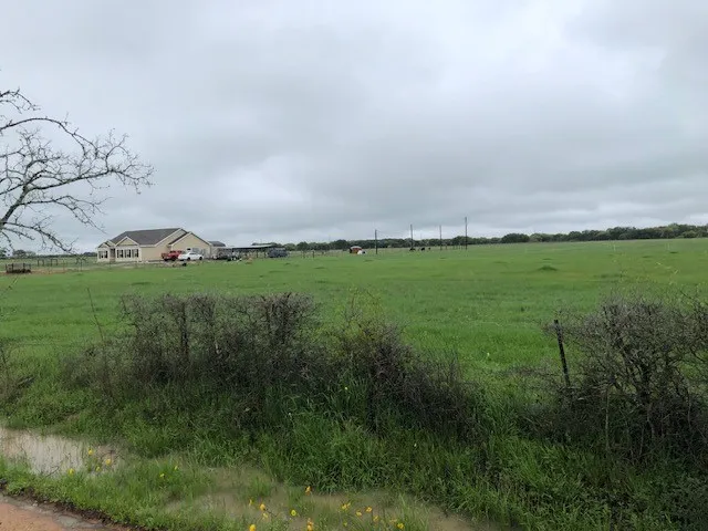 a view of a green field with lots of bushes