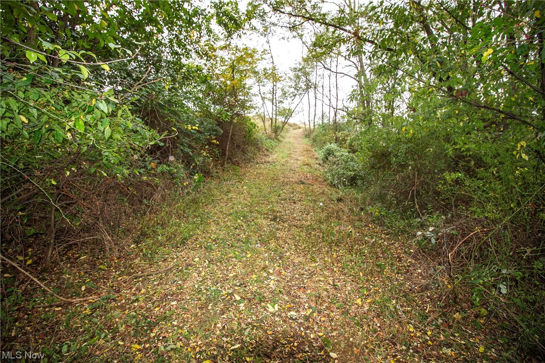0 Couch Road Jewett, OH 43986 - Photo 20 of 34 View of nature