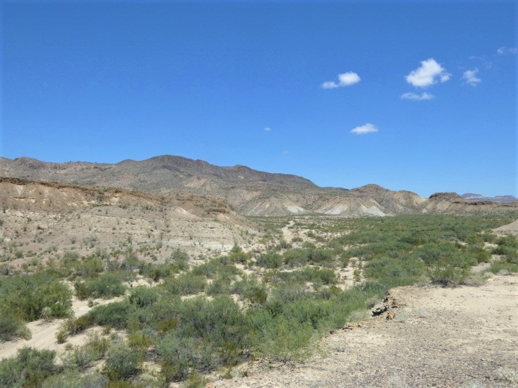 310 Gate 1 Road Alpine, TX 79830 - Photo 9 of 13 Gallery Image 9