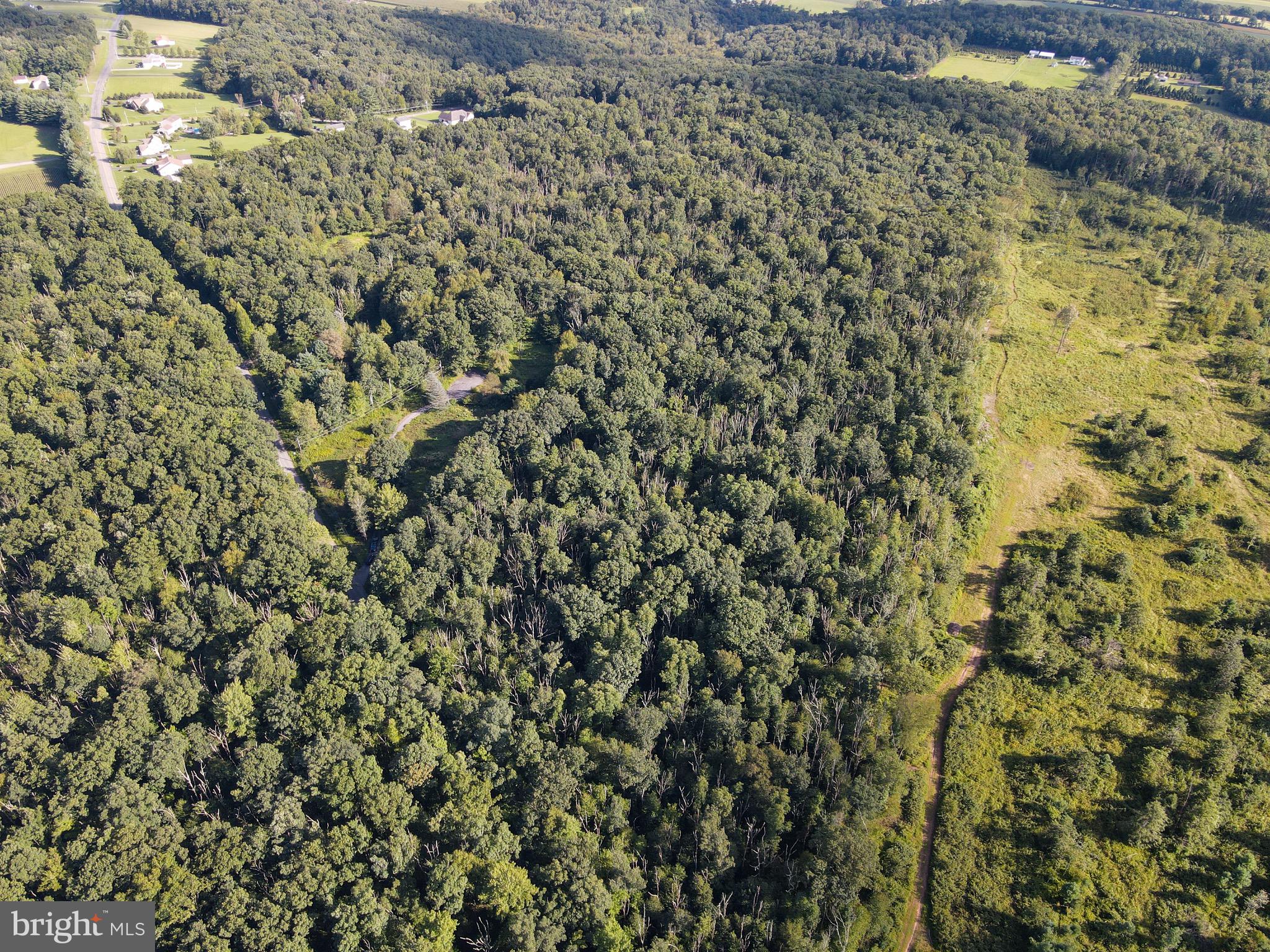 Archery Club Road New Ringgold, PA 17960 - Photo 2 of 6 Gallery Image 2