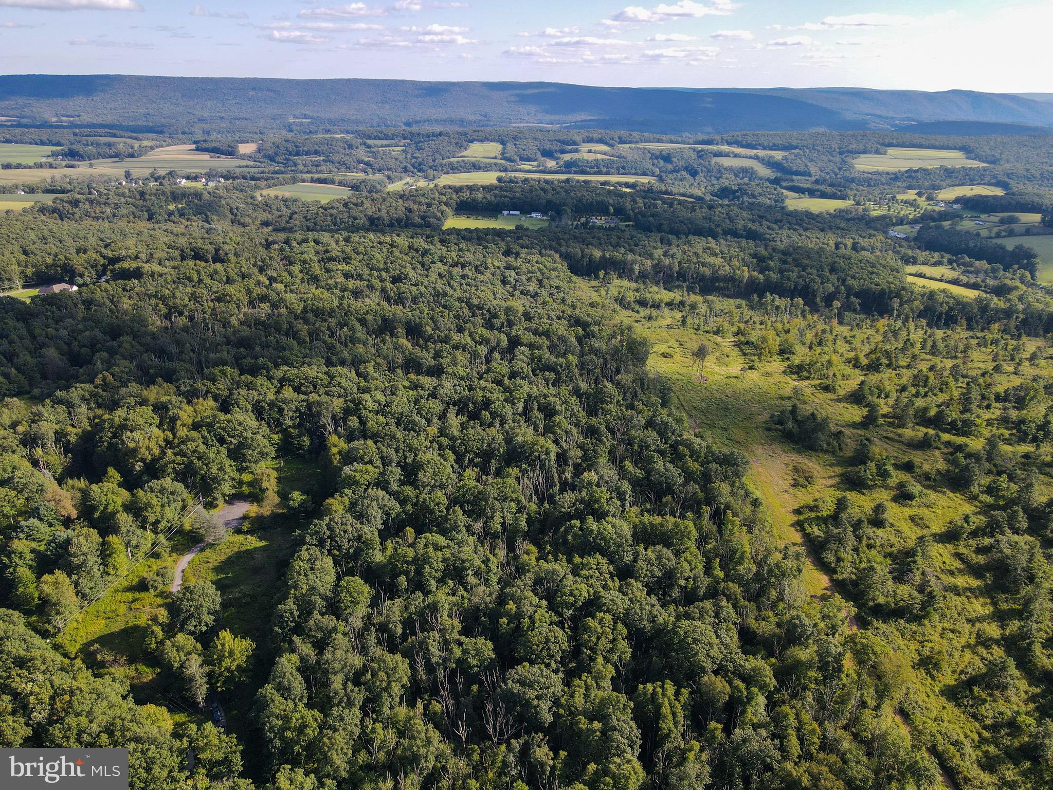 Archery Club Road New Ringgold, PA 17960 - Photo 4 of 6 Gallery Image 4