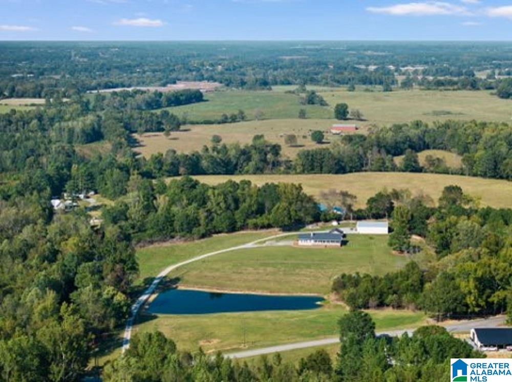 1199 Mt Hebron Road Blountsville, AL 35031 - Photo 21 of 34